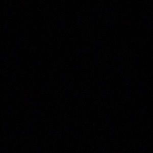 Meet your Posher, Todd